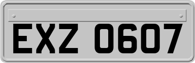 EXZ0607