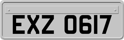 EXZ0617