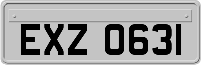 EXZ0631