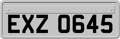 EXZ0645