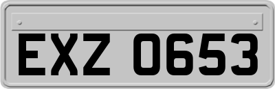 EXZ0653