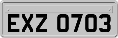 EXZ0703