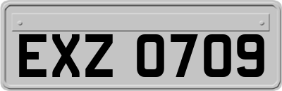 EXZ0709