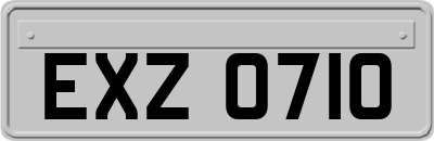 EXZ0710