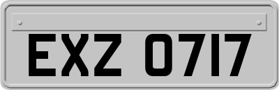 EXZ0717