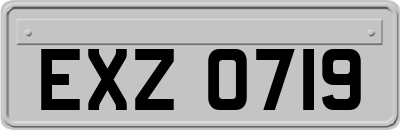 EXZ0719