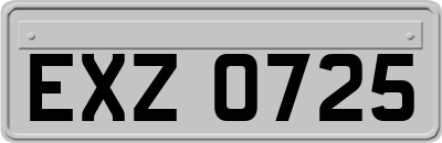 EXZ0725