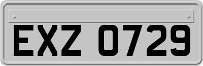 EXZ0729