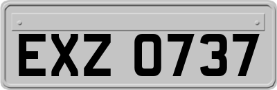 EXZ0737
