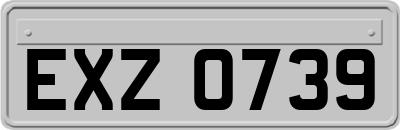EXZ0739