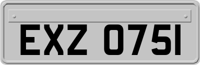 EXZ0751