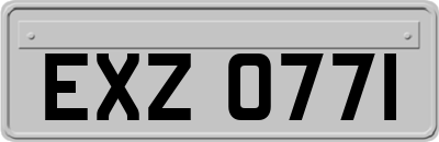 EXZ0771