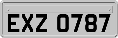 EXZ0787