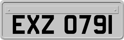 EXZ0791