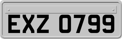 EXZ0799