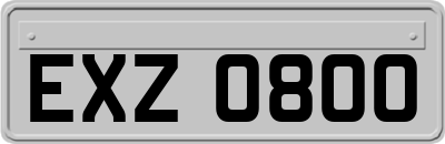 EXZ0800