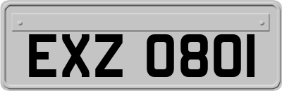 EXZ0801