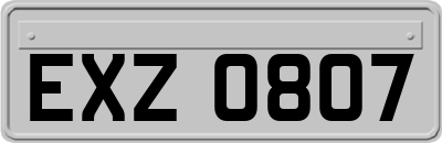 EXZ0807