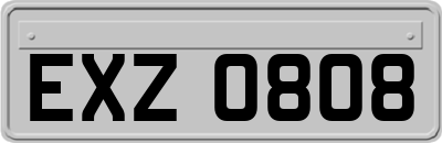 EXZ0808