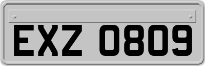 EXZ0809