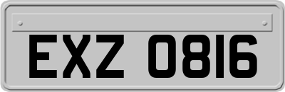 EXZ0816
