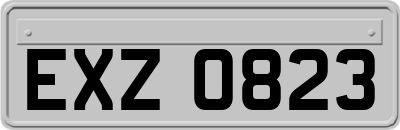 EXZ0823