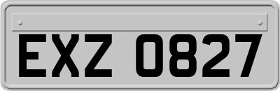 EXZ0827