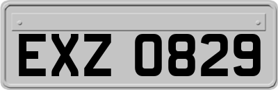 EXZ0829