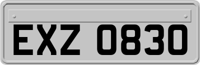 EXZ0830