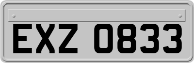 EXZ0833