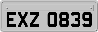 EXZ0839