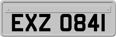 EXZ0841