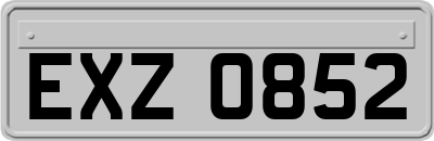 EXZ0852