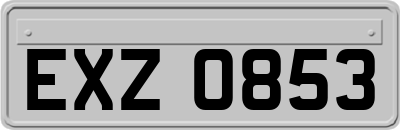 EXZ0853