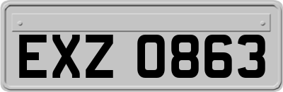 EXZ0863