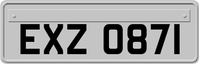 EXZ0871