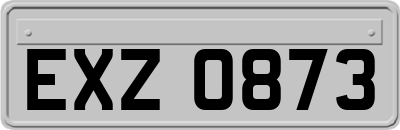 EXZ0873