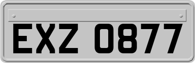 EXZ0877