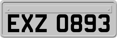 EXZ0893