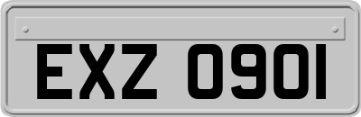 EXZ0901
