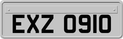 EXZ0910
