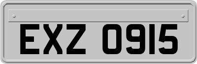 EXZ0915