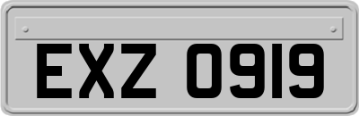 EXZ0919