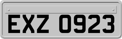EXZ0923