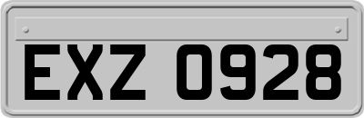 EXZ0928