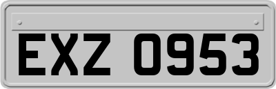 EXZ0953