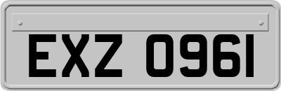EXZ0961