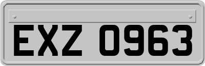 EXZ0963