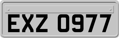EXZ0977