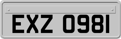 EXZ0981